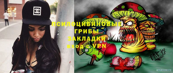 MDMA Богородицк