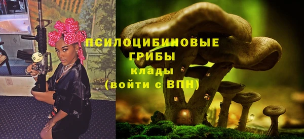 MDMA Богородицк