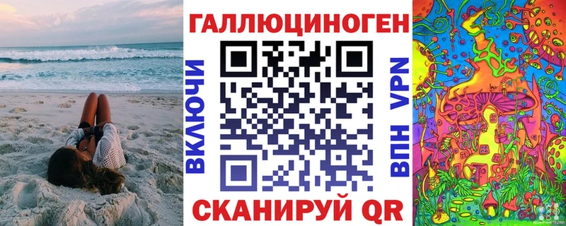 Галлюциногенные грибы Psilocybe Сосновый Бор